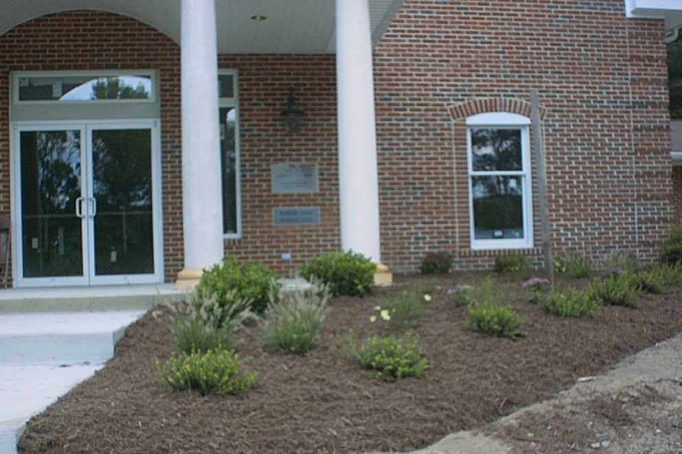 landscaping- front